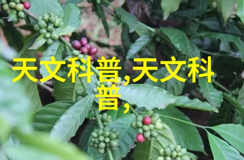 强扭的瓜真甜阅读揭秘那些不易攀登却令人回味无穷的文字世界