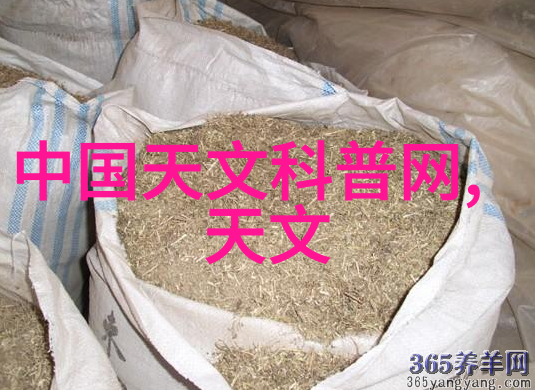 巨型饮用水设备价格探究一探其花费之谜