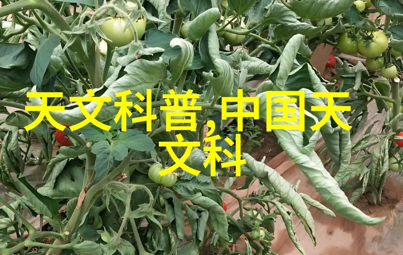 不锈钢规整填料尺寸精密加工的金属颗粒