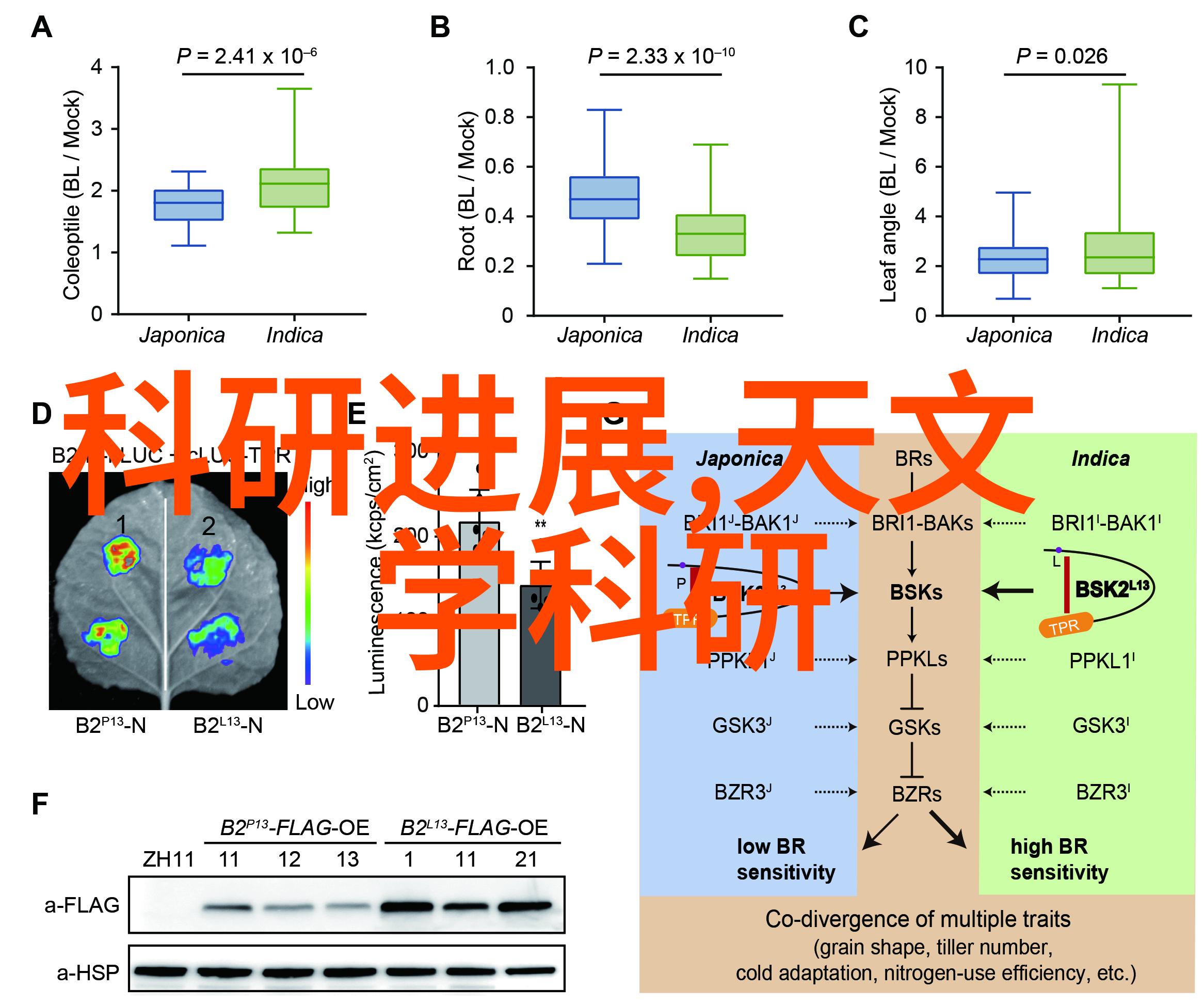 追尾BY 潭石我的一场惊心动魄的驾车经历