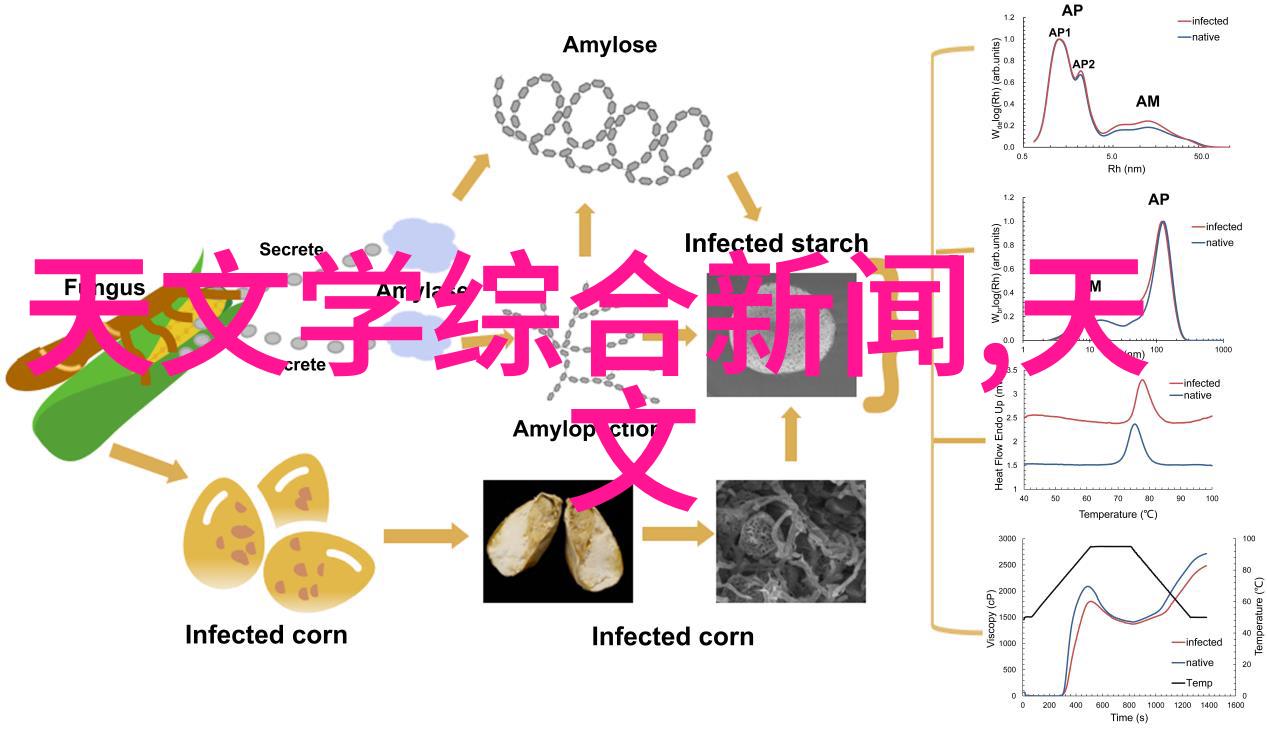 送老师花的秘诀选择合适的花朵和颜色