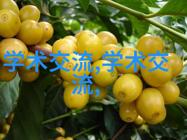 花季v3.072污版在数字蔷薇丛中寻觅纯真