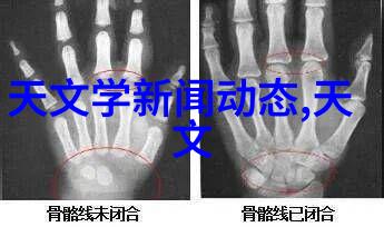 家居美学的自我探索室内装修设计的自学之旅