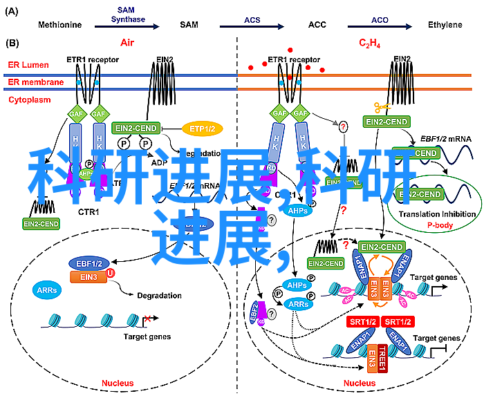 水电安装学问浅析从基础知识到实践技能的系统探究