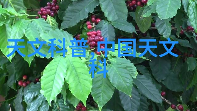 旧房改造装修图片大全家居美化室内设计翻新技巧