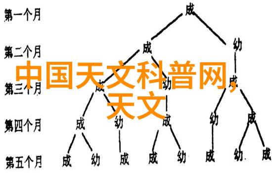 厨房装修效果图大全来看看我怎么把我的厨房变成了美食制作的天堂