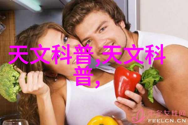 夏日炎炎冰箱档位之谜开几档才能让热浪退散