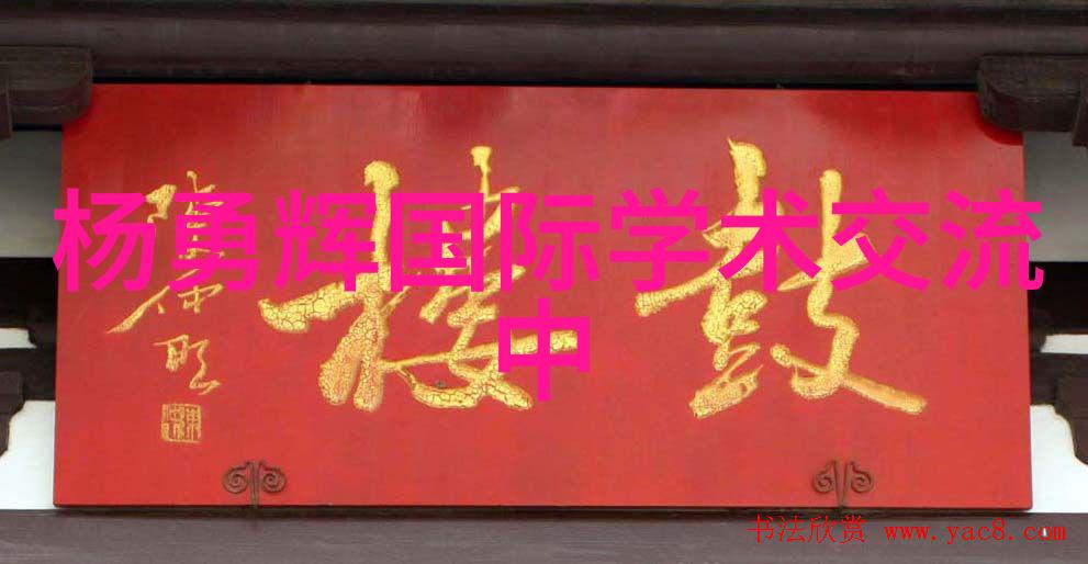 职业征程年度成就与展望