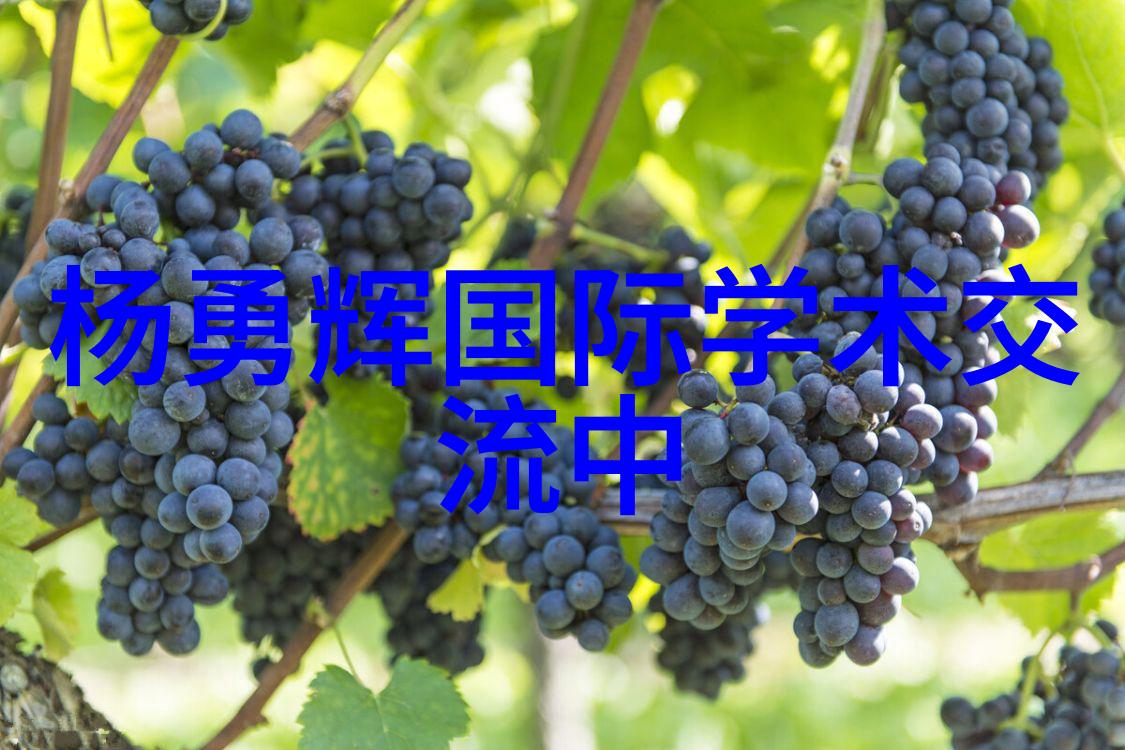 水管安装专业水管系统搭建