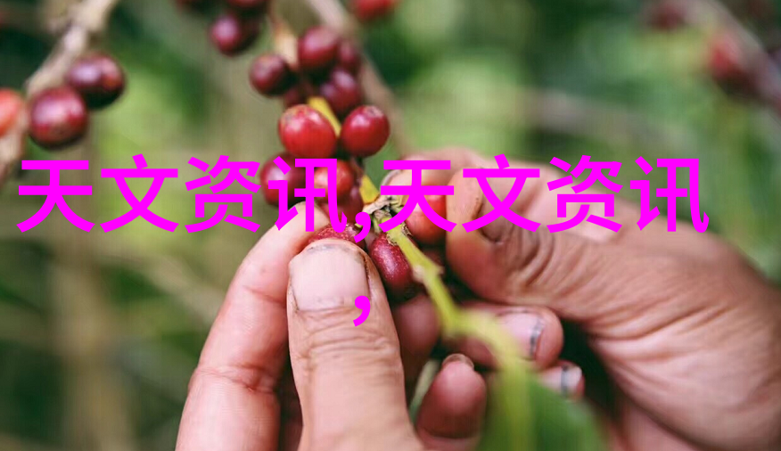 如何使用微波炉制作面包的简单步骤