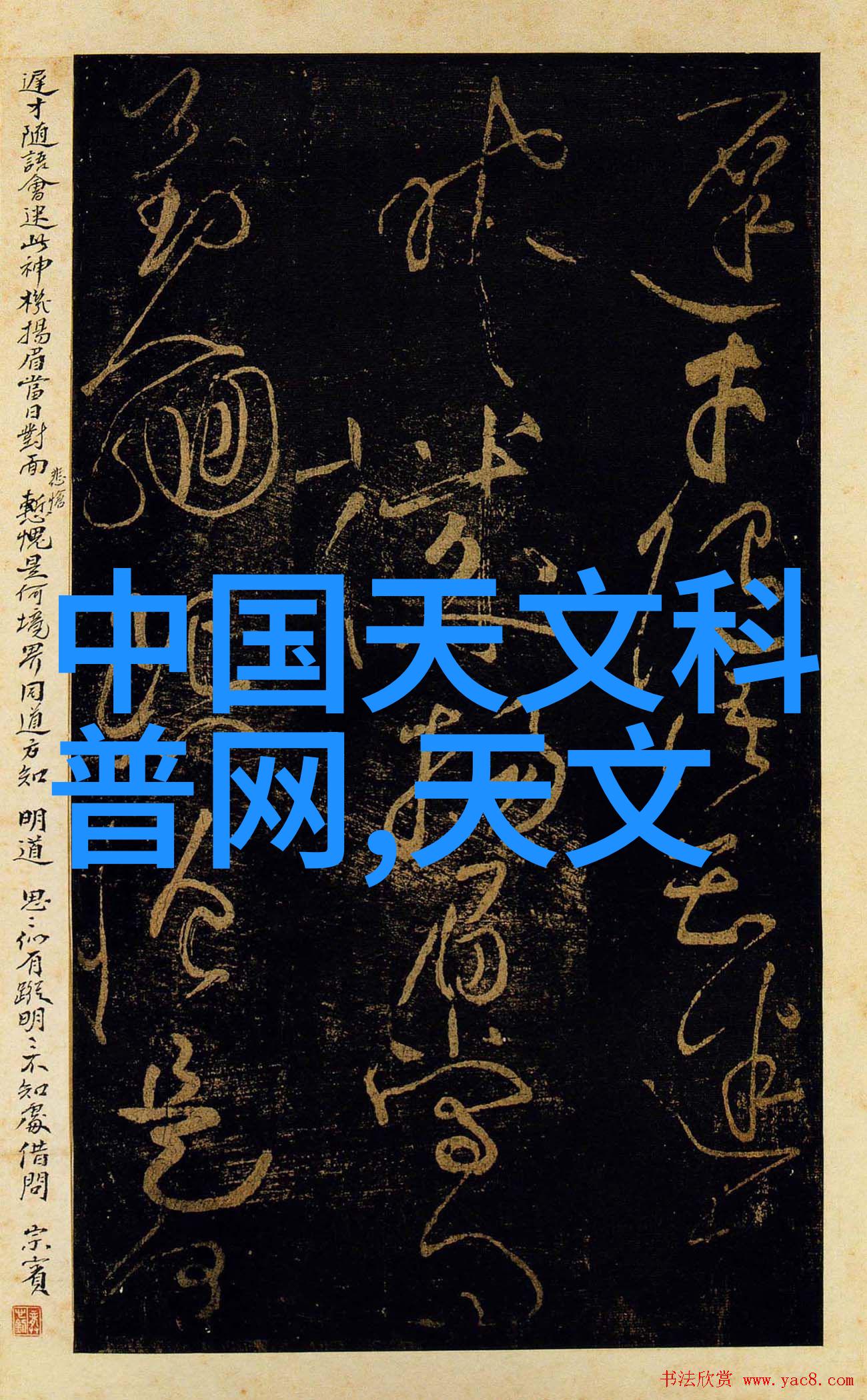 美丽的姑娘免费视频观看全集高清-清新梦幻探索那些美丽姑娘的无限魅力