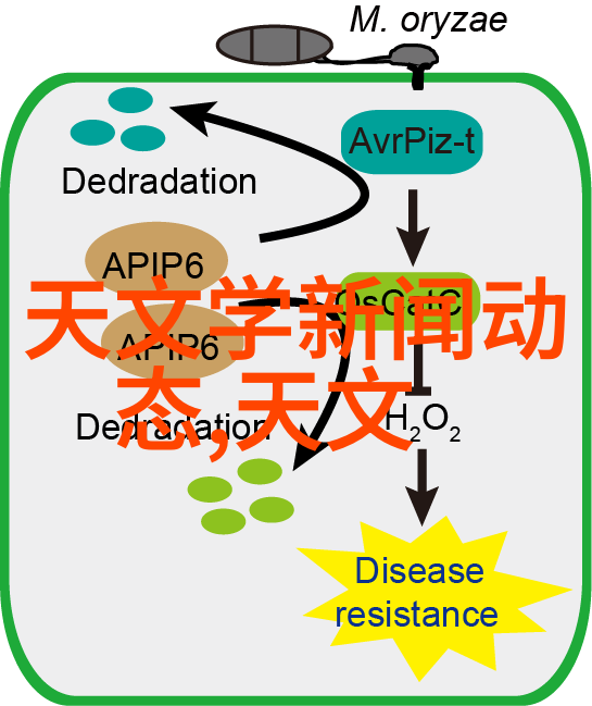 电源线性精准提升储能电池管理系统的可靠之道