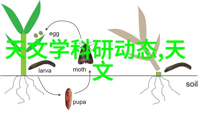 专题入门指南掌握基本知识选择适合自己需求的水质检测仪器