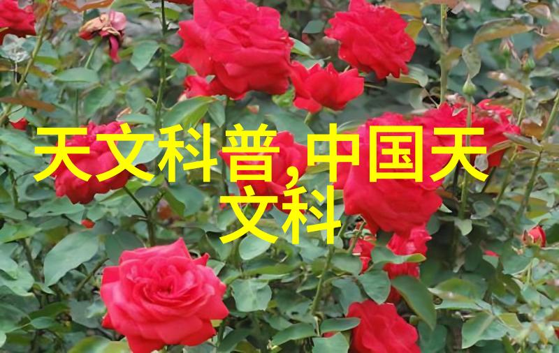 教师之花鲜艳的赞誉与温暖的祝福