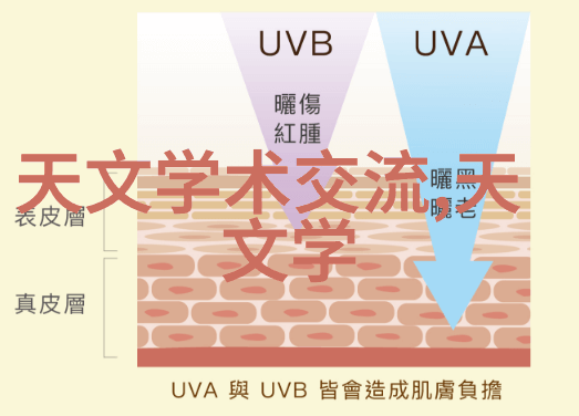 2022全国摄影大赛官网我是如何在海量作品中发现我的照片的