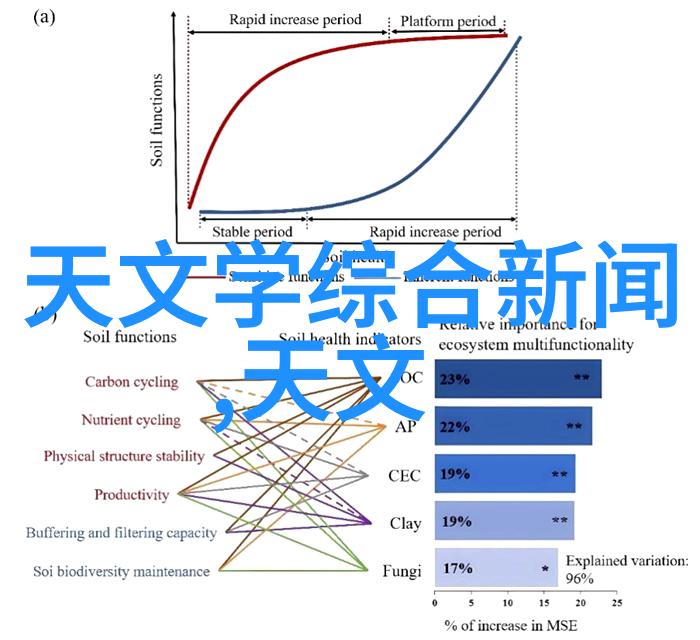 螺旋压榨机的工作原理与应用概述