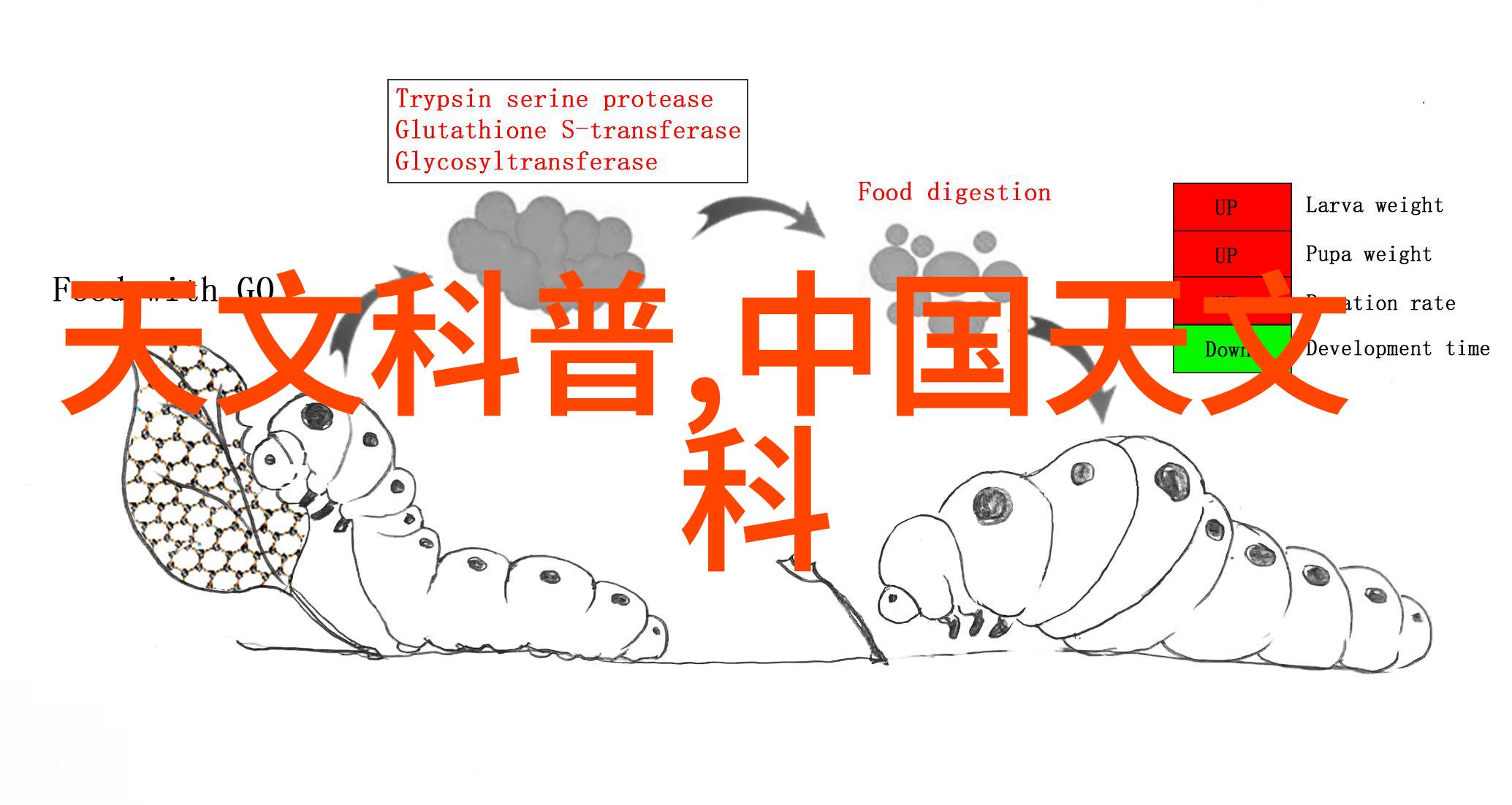 空气净化器使用操作详解家庭生活清新呼吸系统