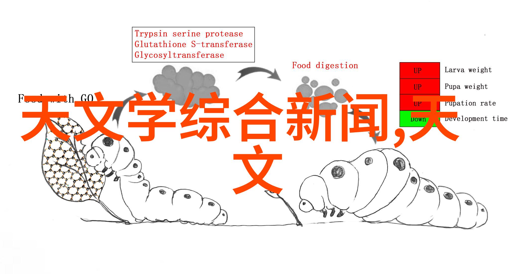 如何避免智能制造项目成为遗憾之作