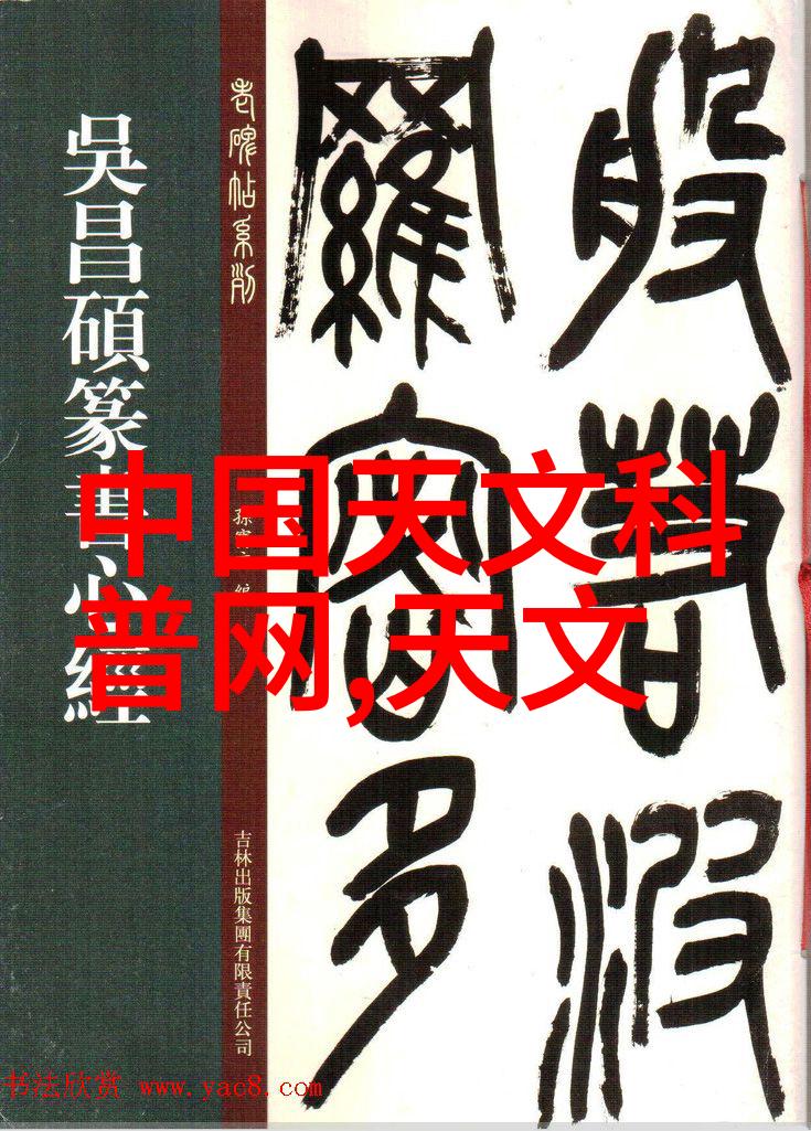 装饰时尚100个室内设计灵感