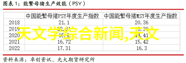 翩跹在光影中的美蜂鸟摄影论坛探索艺术的边界