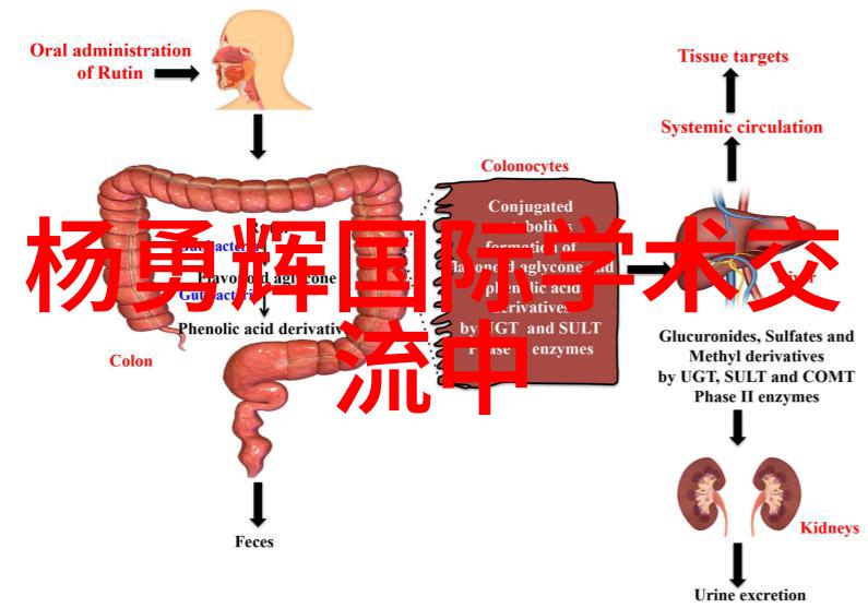 有哪些基本原则可以帮助我们构图更加有趣