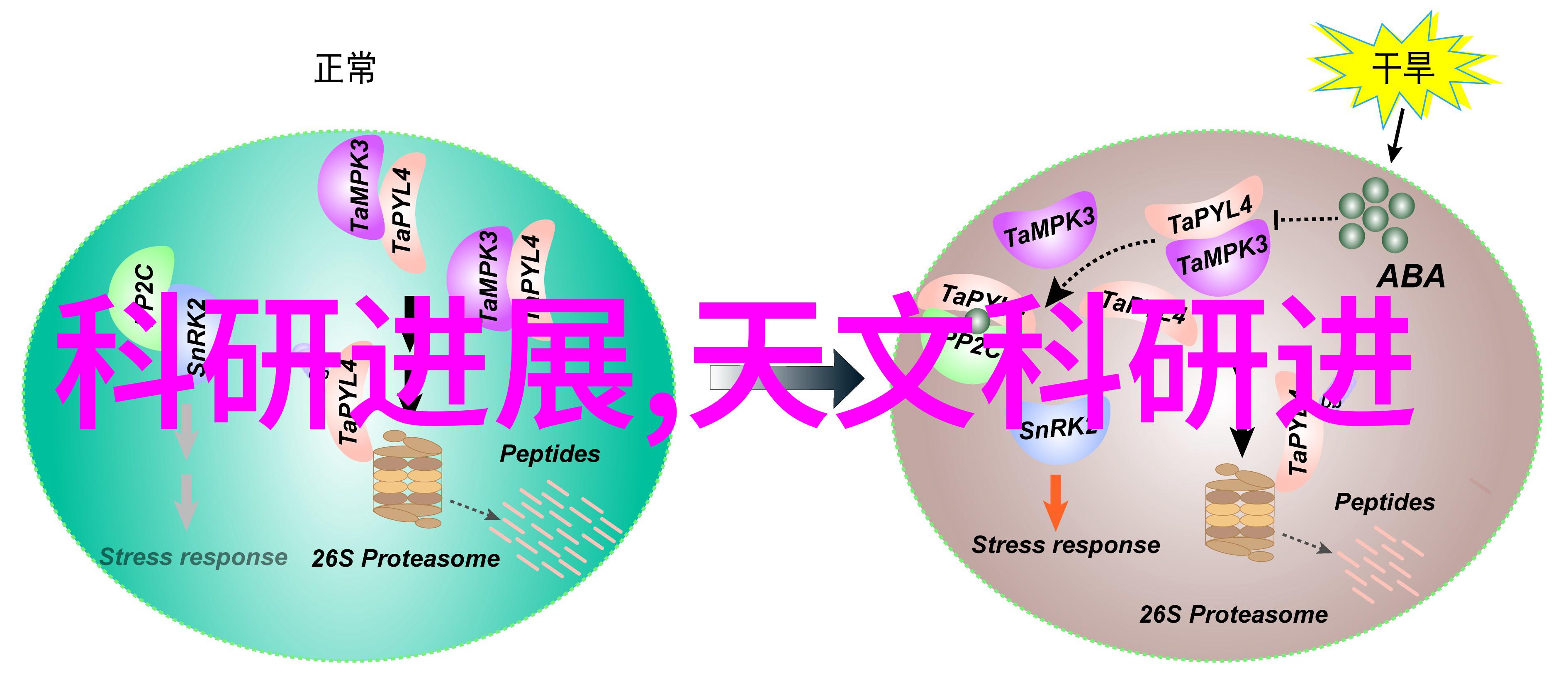 水质检测值60安全饮用线的探究与实践指南