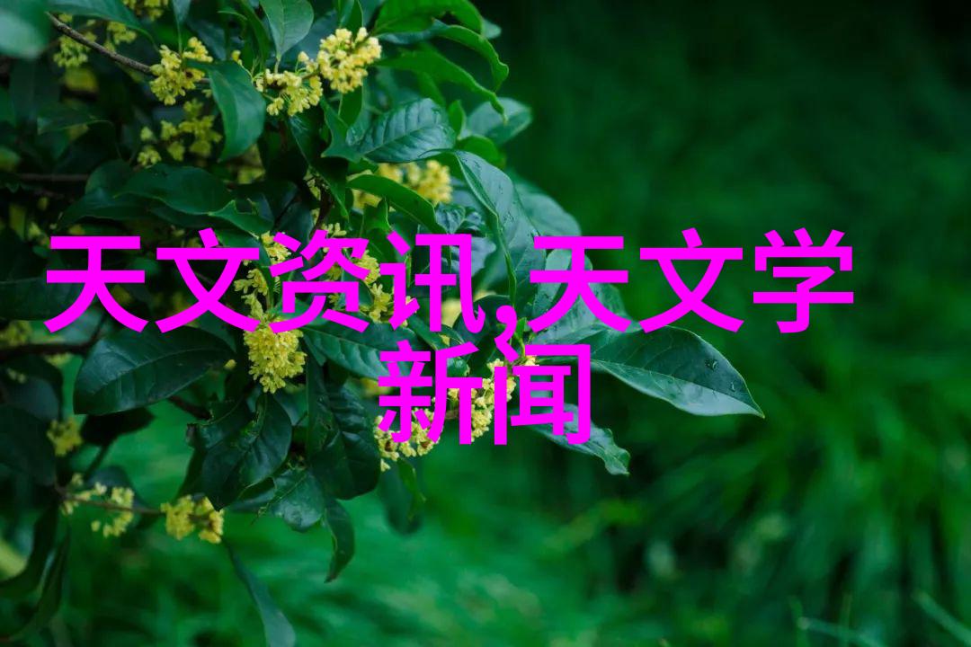 家居美学简单装修技巧让房子焕然一新