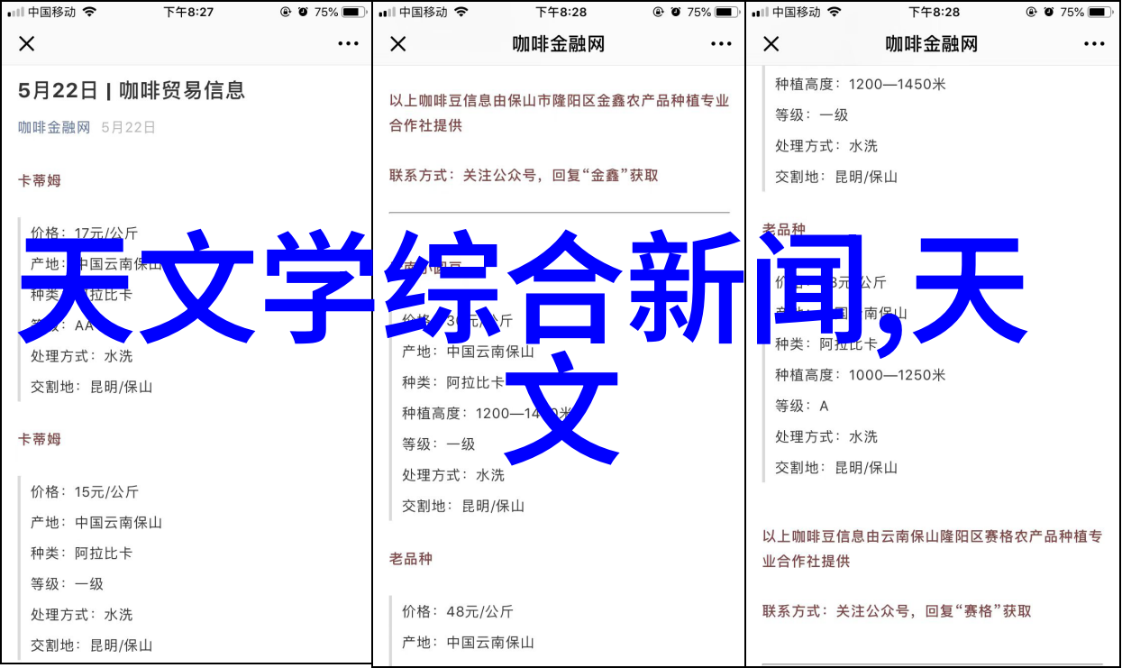 如何设计一个完美的书房空间让阅读成为一件既舒适又令人着迷的事物