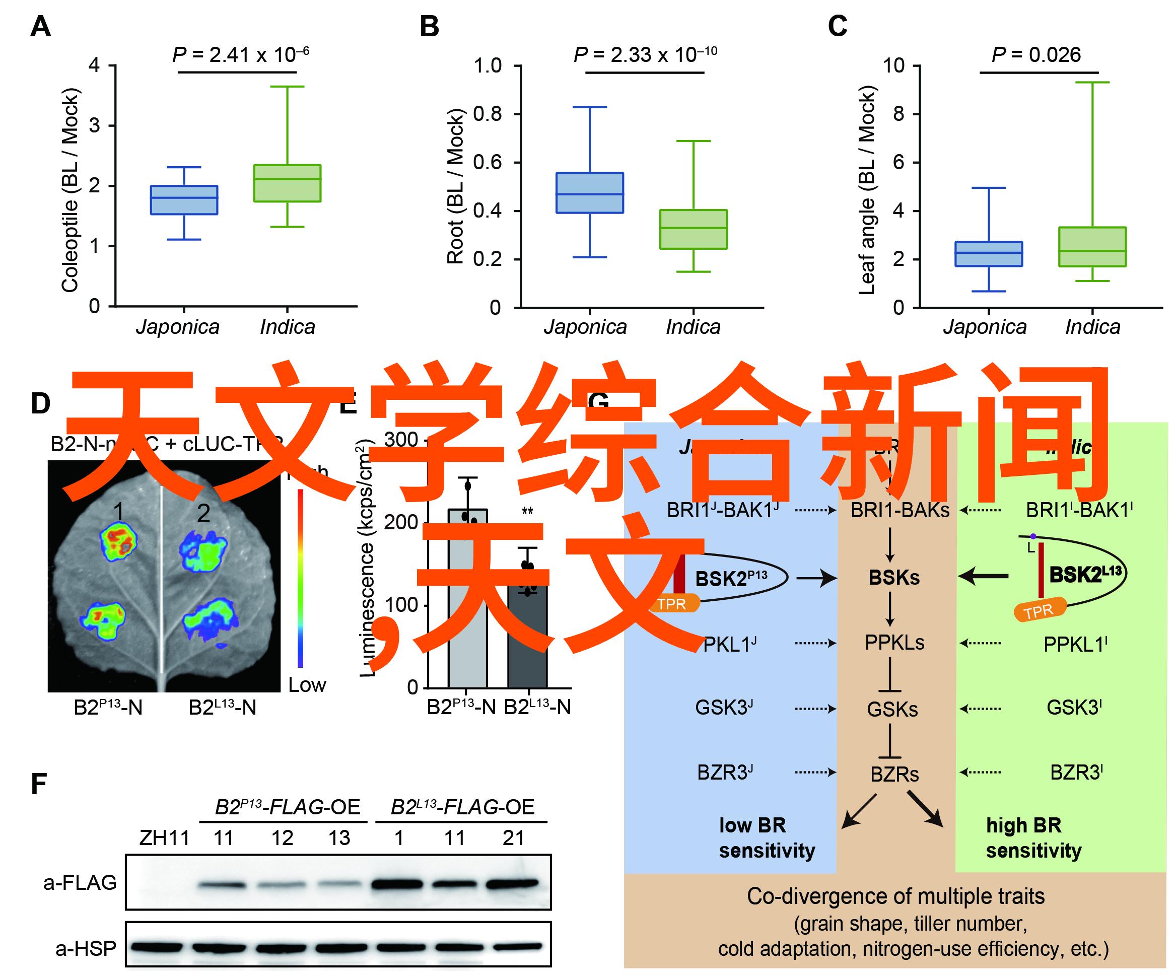 人物使用五种常见传感器中的电感式传感器进行探测