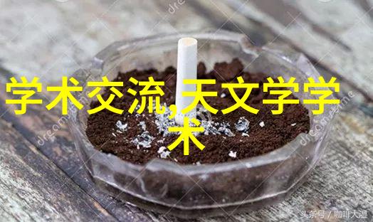 主题-小学生摄影大赛中的视觉奇迹获奖作品展览