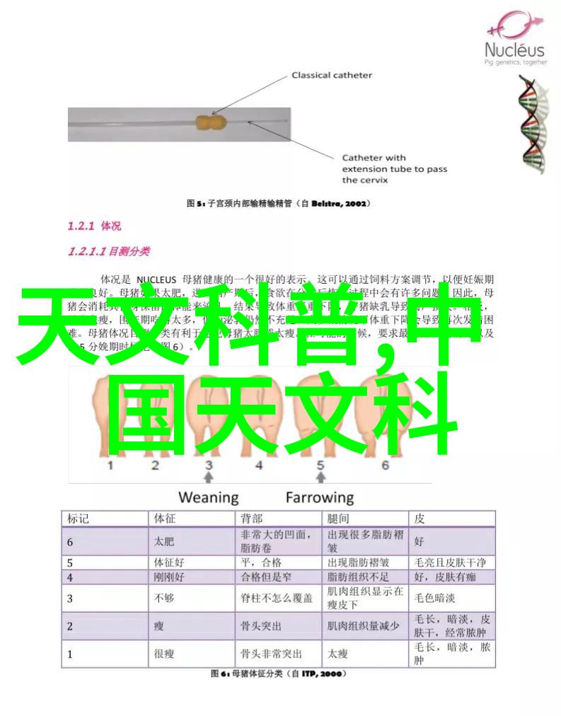 天域苍穹最新章节星辰大海的秘密揭开