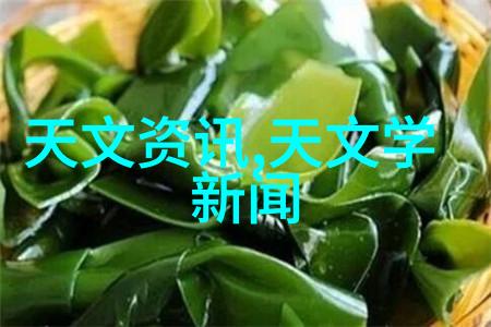 环形水利设施中规整填料的优化使用策略