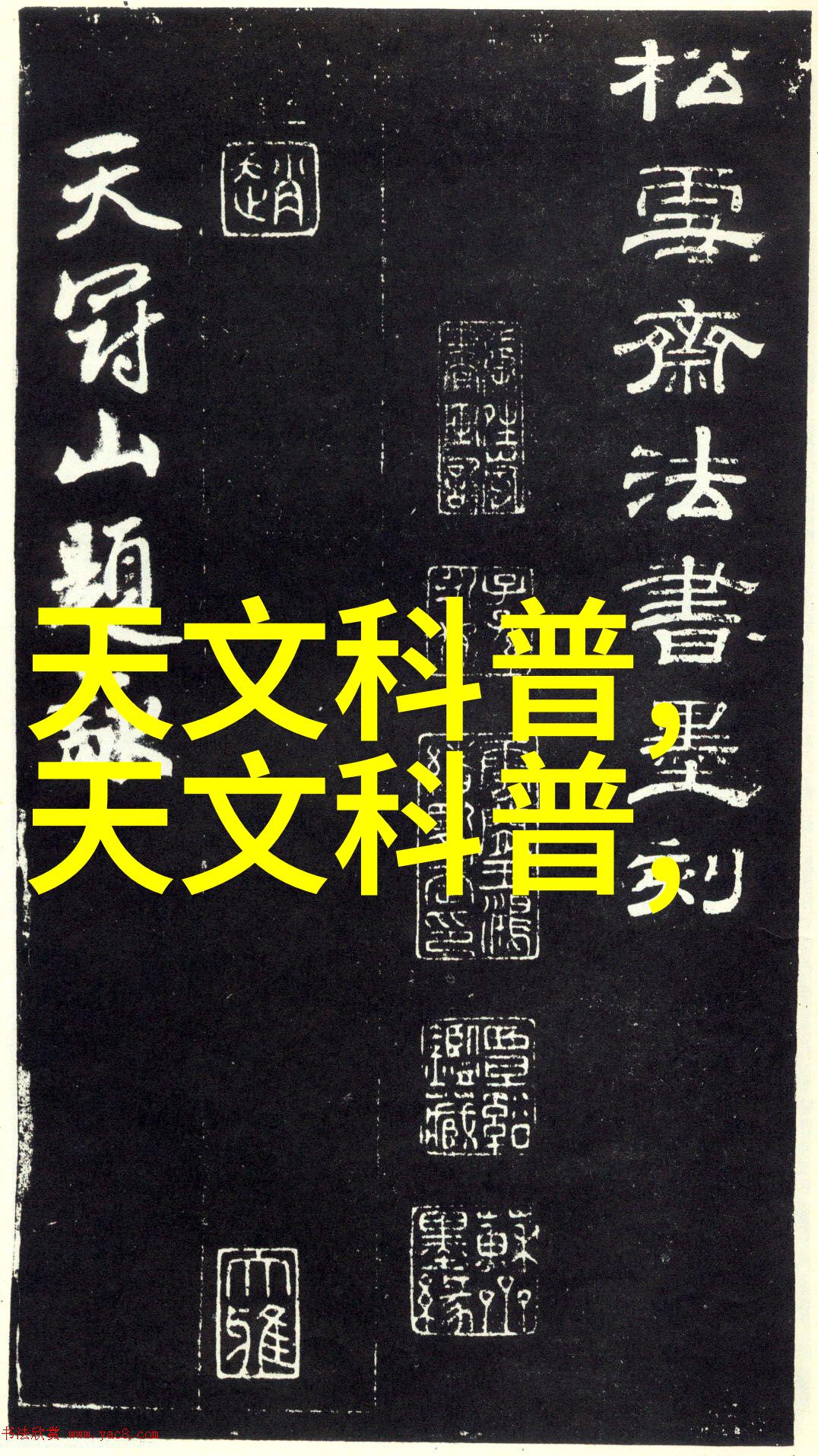 探索中国摄影艺术中国摄影家协会官方网的视觉奇遇