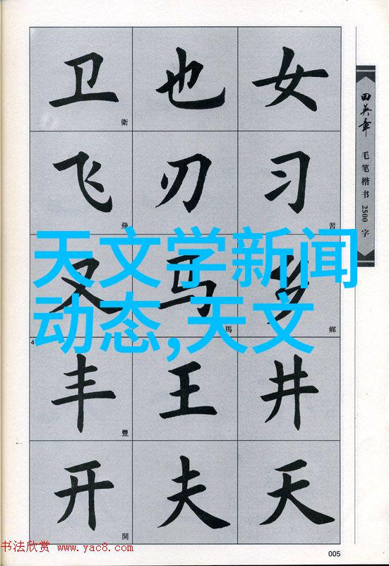 纽约摄影学院教材-捕捉城市之美探索纽约摄影学院的教学精髓