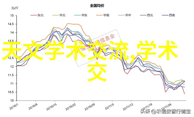 12朵玫瑰花语浪漫爱情的诗篇