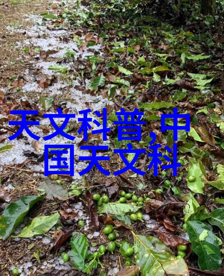 挥霍的青春追逐梦想与无尽可能年轻人追求梦想的故事