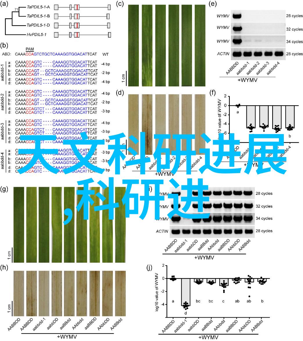 在控制实验条件方面有没有什么是我们需要特别注意的问题以确保通过使用凉开水或其他方法从高至低效率合理地