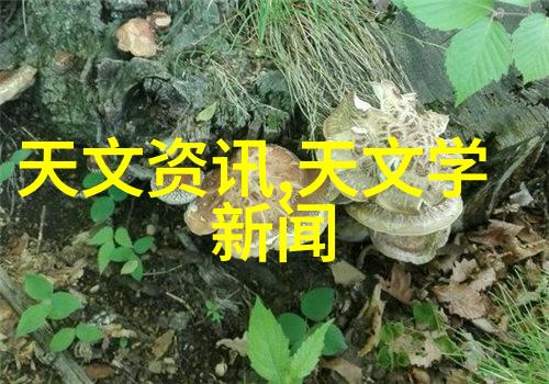 水处理厂监控系统革新以太网交换机与can通讯报文的智慧融合