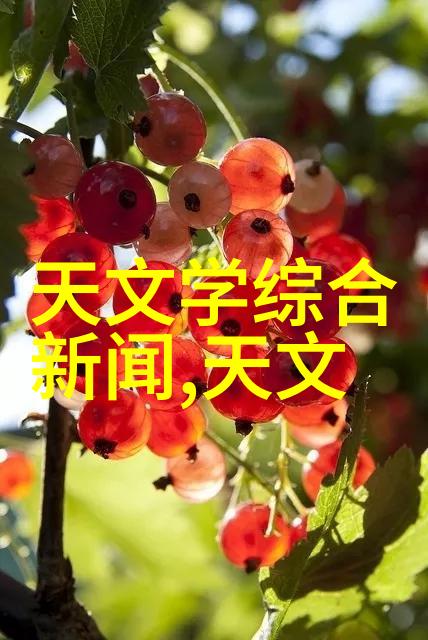 四个人换着做更有意思我们一起玩转人力餐厅