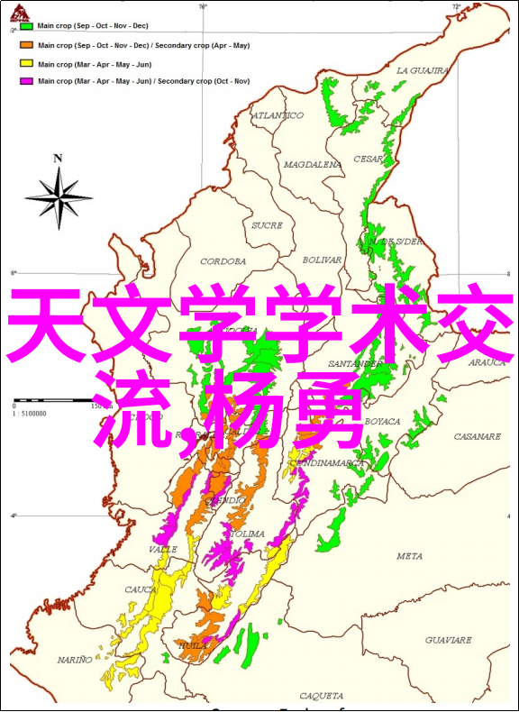 花语传情红玫瑰与无言的友谊