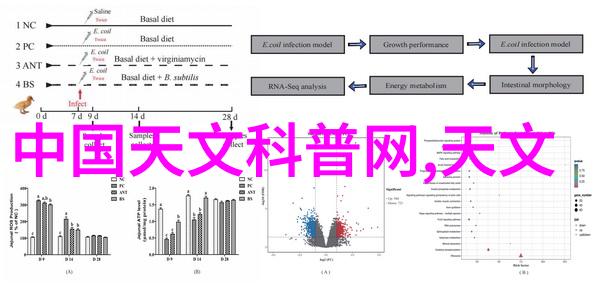 欣赏之美好看的照片背后的故事与艺术