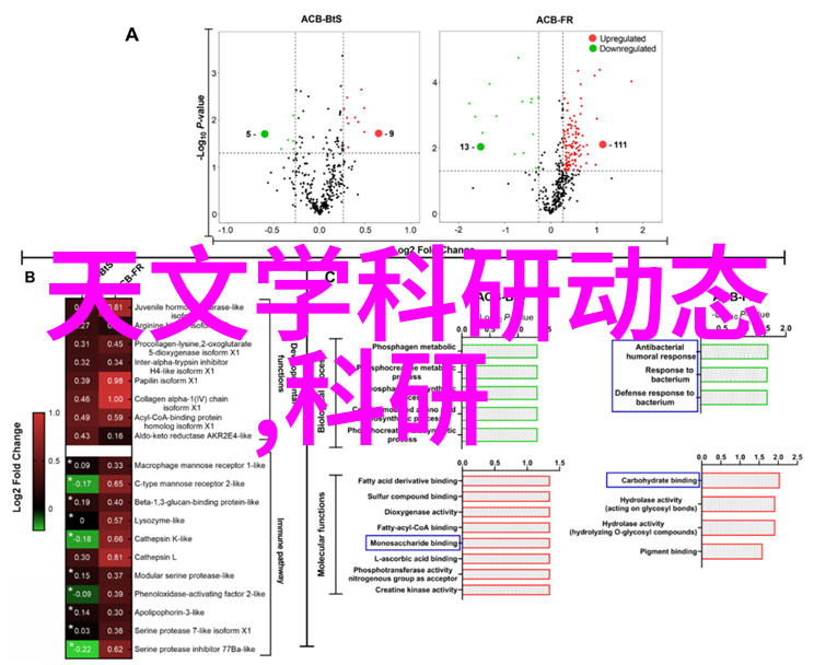 数码宝贝国语版第一部探秘数字世界的奇迹