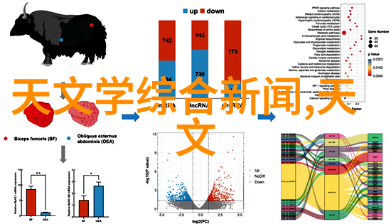 齿轮油泵的精妙之处驱动力与润滑的完美协同