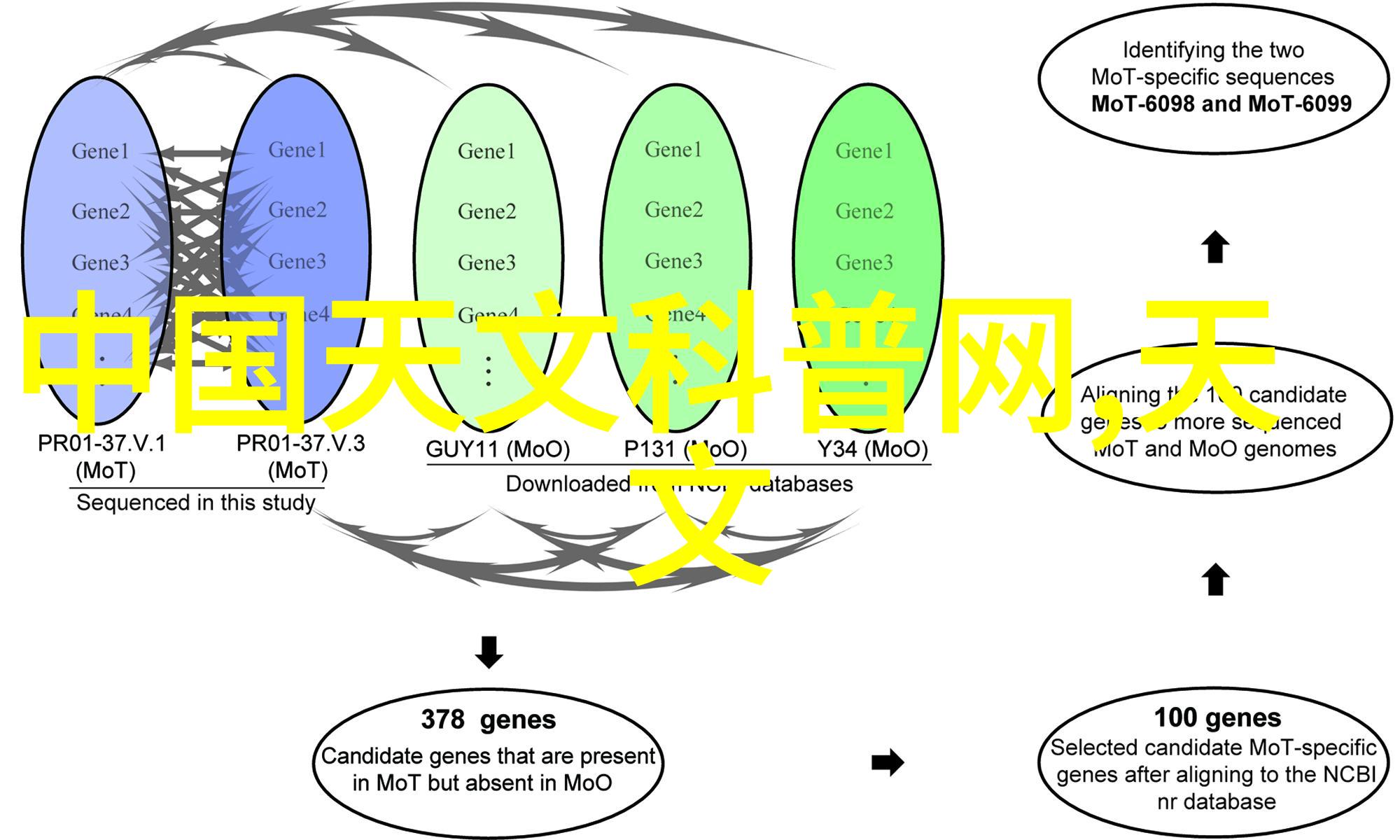 空调制冷功能失效这里有步骤指南帮你快速解决夏天的难题