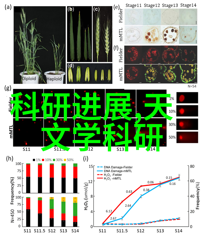 工业以太网设备-智能化升级如何优化工业以太网设备的选择与应用