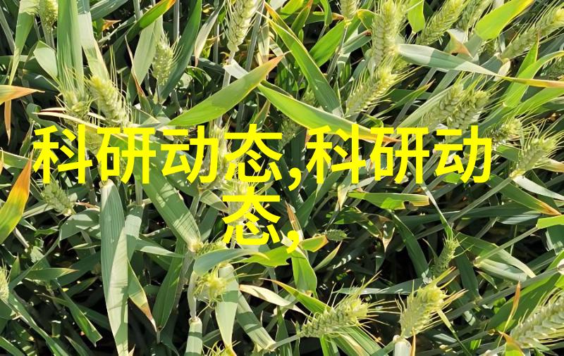 为了营造轻松愉悦的氛围小户型可以采用什么样的植物摆设方案