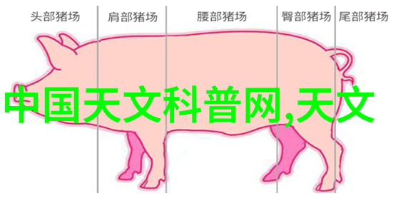 乐园路我在寻找那片被时间忘却的童年角落