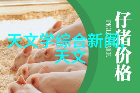 微波蛋糕烘焙新体验家用微波炉如何做出诱人的甜品