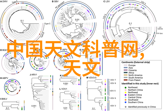 污水处理设备我是如何让我的社区环境更绿的