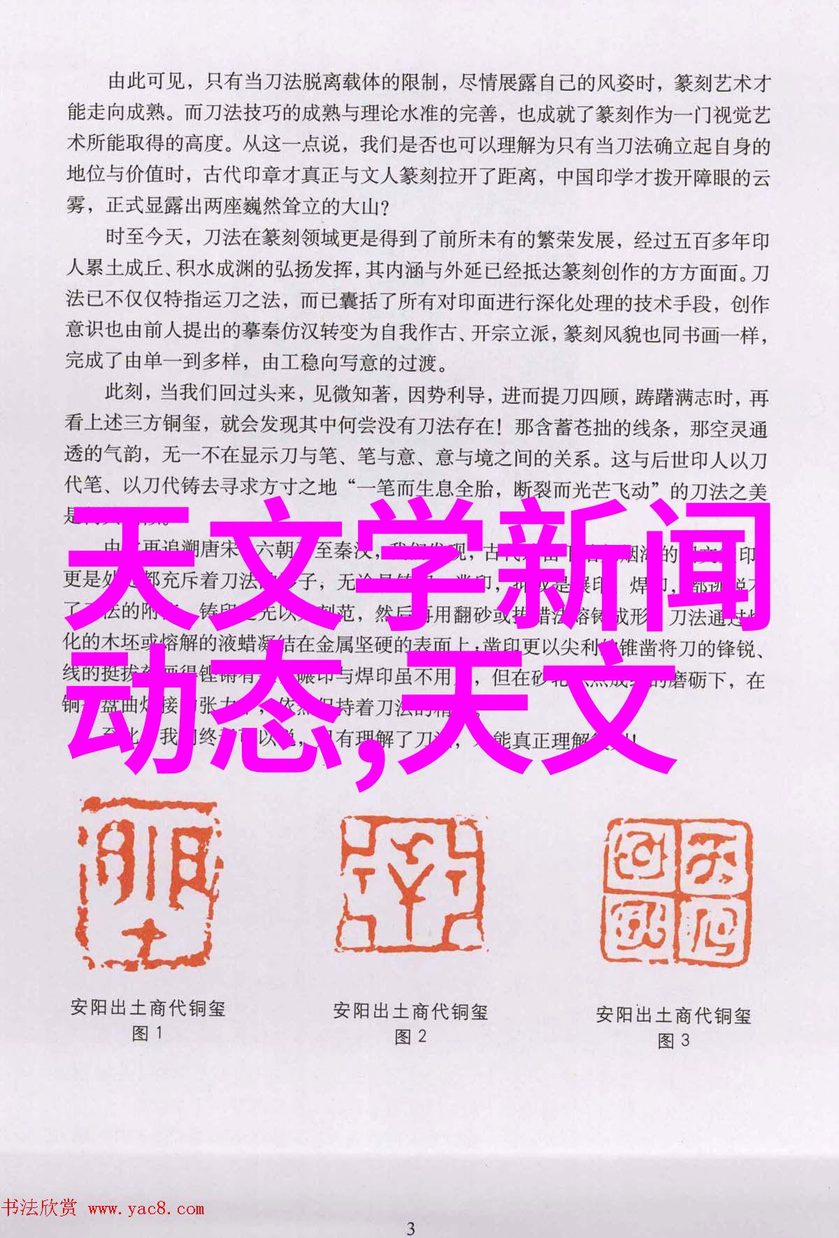 摄影新手的选择从入门级到专业机型的全方位探索